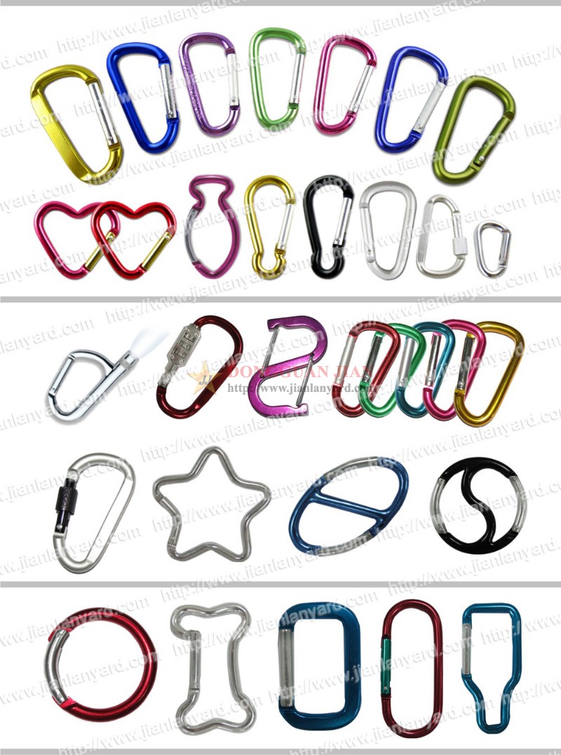 Carabiner Hooks